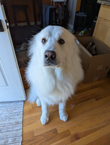 Muddy Paws Bath House