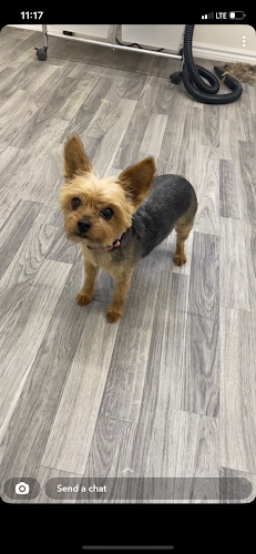 Muddy Paws dog Salon