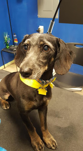 Muddy Paws Pet Grooming and Spa