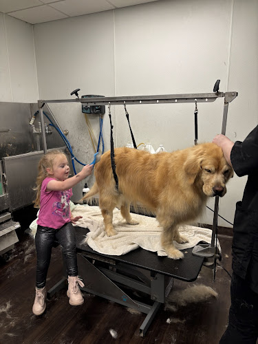 Muddy Pawz Dog Grooming