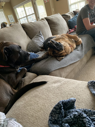 Mutt Cuts of Montgomery