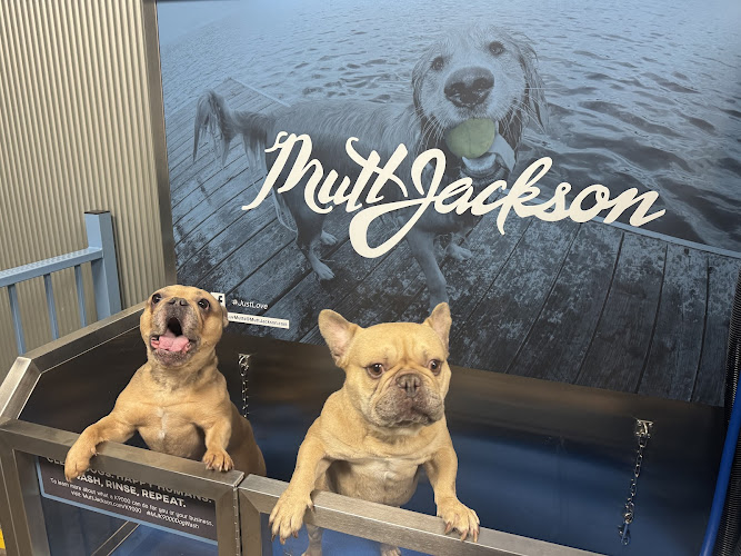 Mutt Jackson