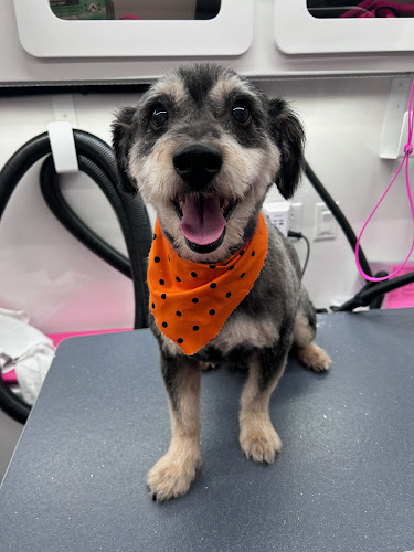 Mutts, Cuts & Wiggly Butts, LLC