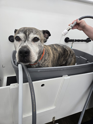 Mutts + Meows Natural Pet Market