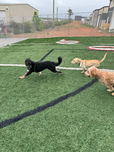 Mutty Paws of NWA LLC