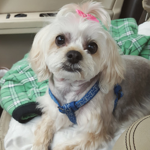 MY Best Friends Barber