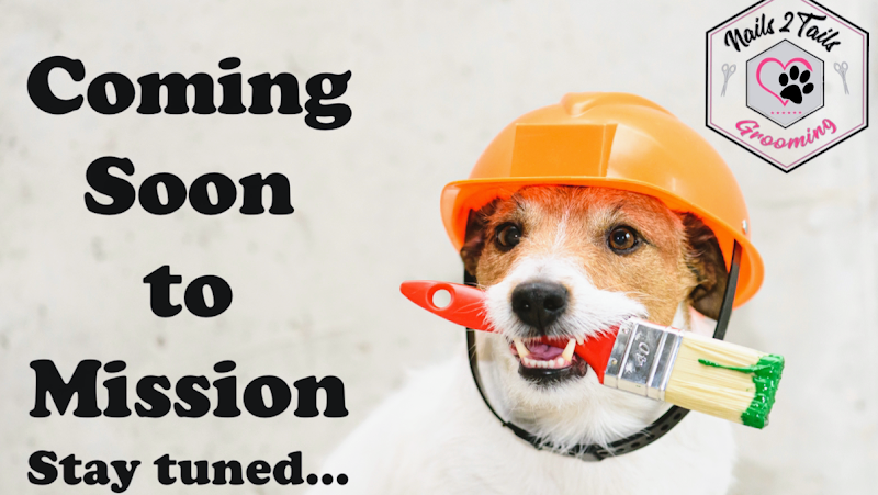 Nails 2 Tails Mission