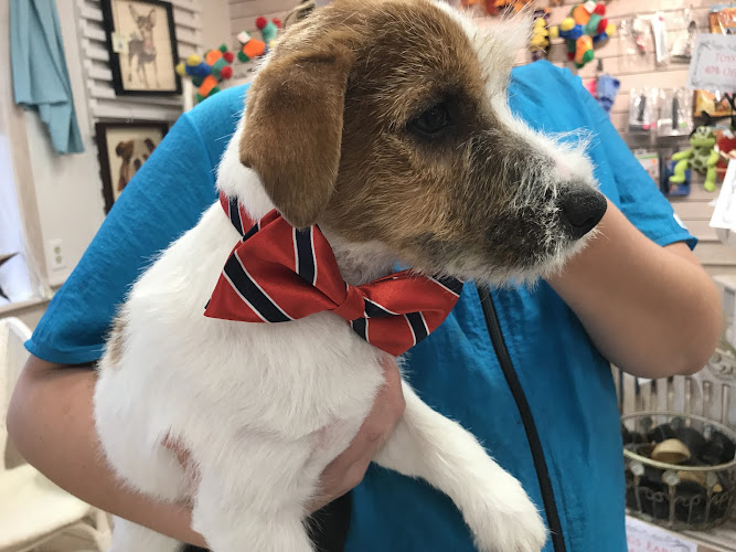 Nanhall Pet Spa Grooming