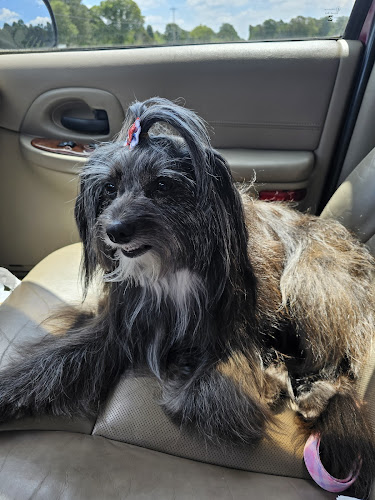 Natalie's Pet Palace