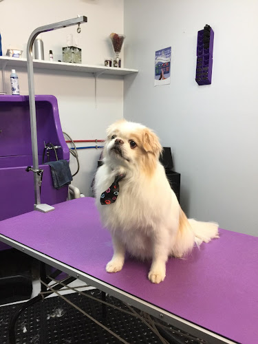 Naturally Canine Grooming