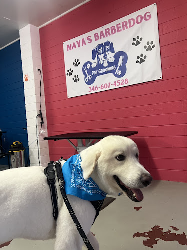 Naya's Barberdogs-grooming Services in Houston