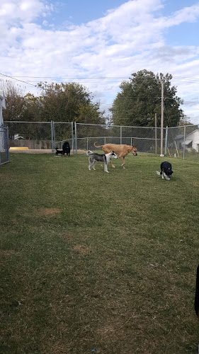 Nazty Dog Groom & Board