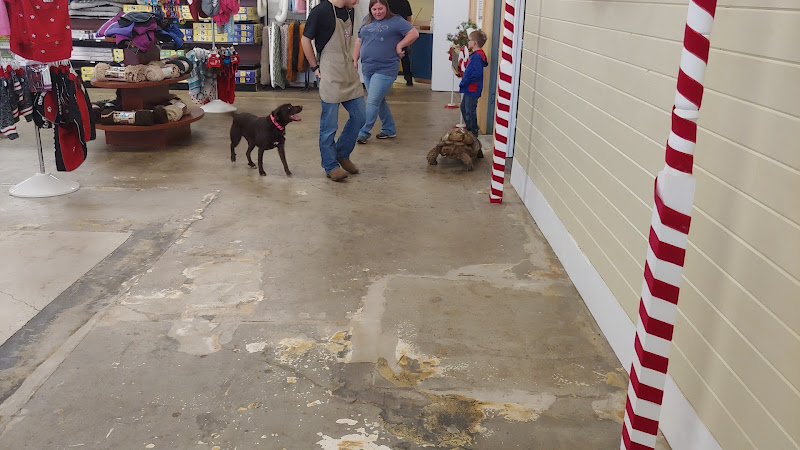 Neighborhood Pet Shoppe