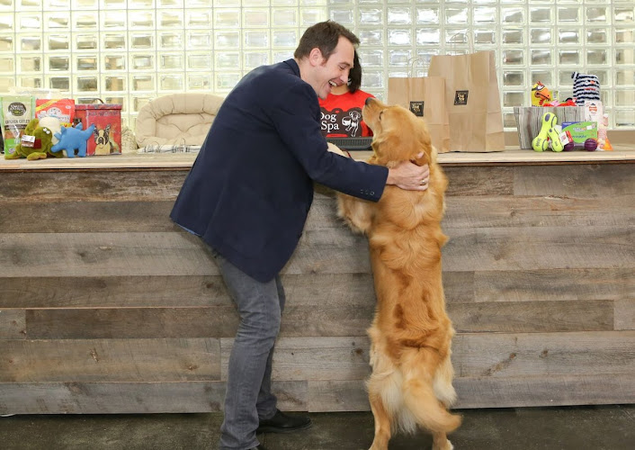 New York Dog Spa & Hotel - 25th Street