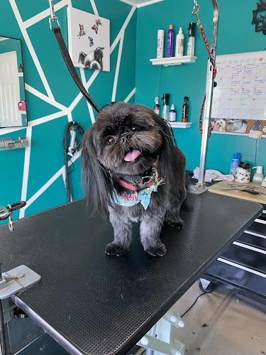 Nichole's Loving Cuts