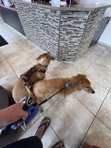 Nick's Grooming Studio