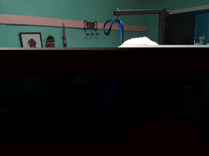 Nika's Pet Spaw & ReTreat Dog Grooming and Boarding