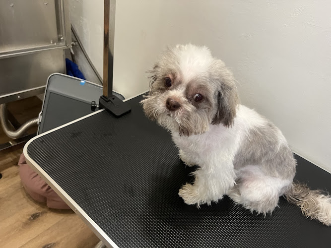 Nina’s Pet Spa & Grooming