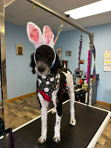 Nishu Bay Kennel & Grooming