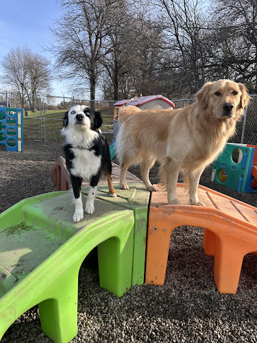 No Worries Pet Resort & Spa, Inc