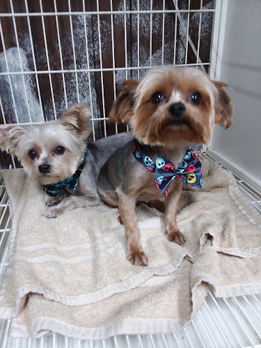 Northern Breeds Pet Resort