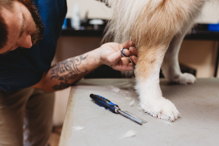Northern Tails Grooming LLC