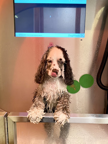 Now You're Clean - East Village