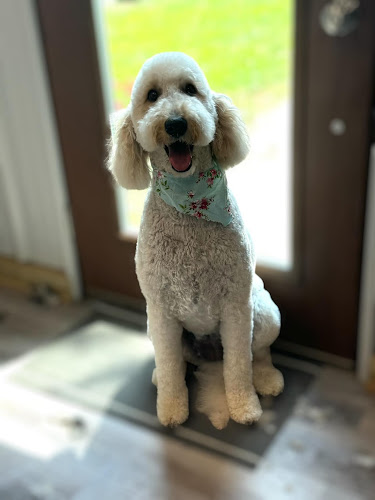 Oaks Pawfessional Groomery