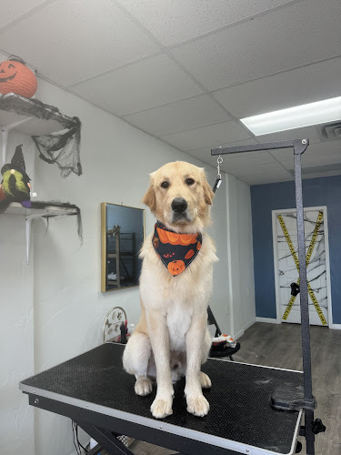 Oh My Dog! Las Cruces