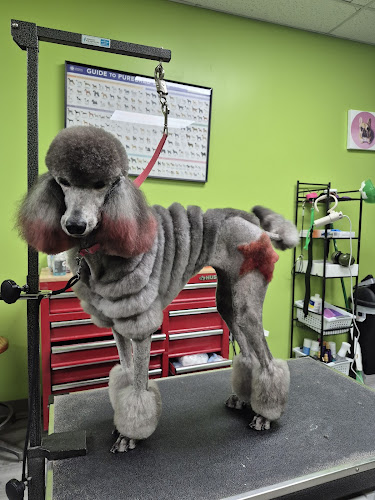 Olive's Pet Grooming