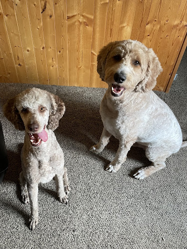 On the Dog's Side Mobile Grooming