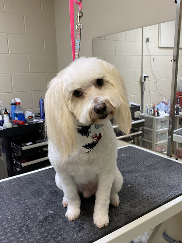 Ooh La La Doggie Spa