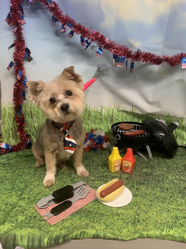 Ooh La La Pet Spaw and Hotel