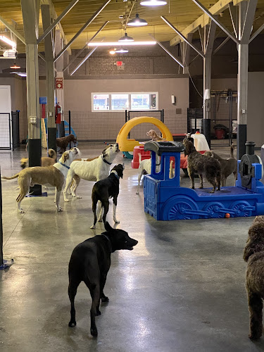 Opie's Doggie Playcare and Salon