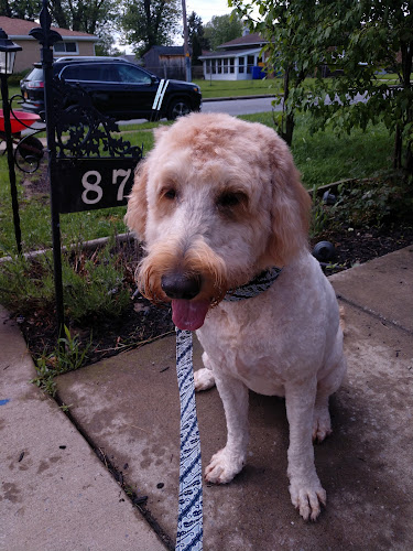 Orchard Park Pet Spa