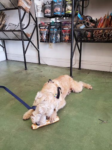 Original Paw Pleasers Dog Bakery