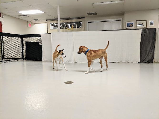 Oscar's Pet Resort of Greenfield, Inc.