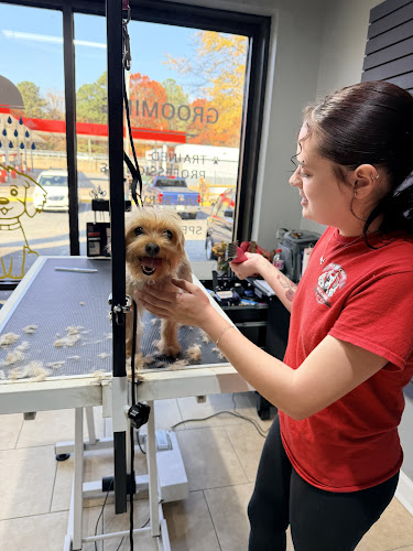 OTCK9 Grooming School