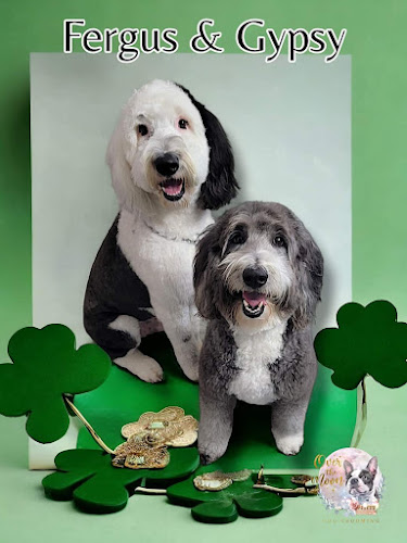 Over The Moon Dog Grooming