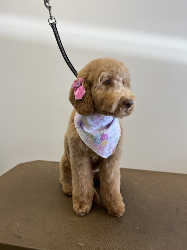 Pacific Paws Pet Salon at the Aina Haina Shopping Center