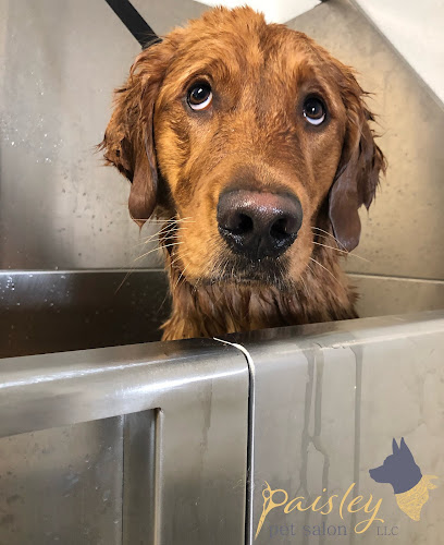 Paisley Pet Salon