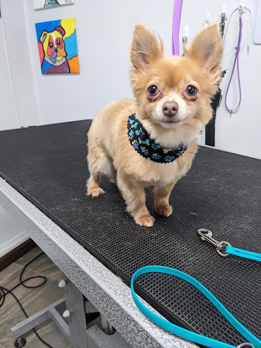 Pampered Paws Dog Grooming Spa