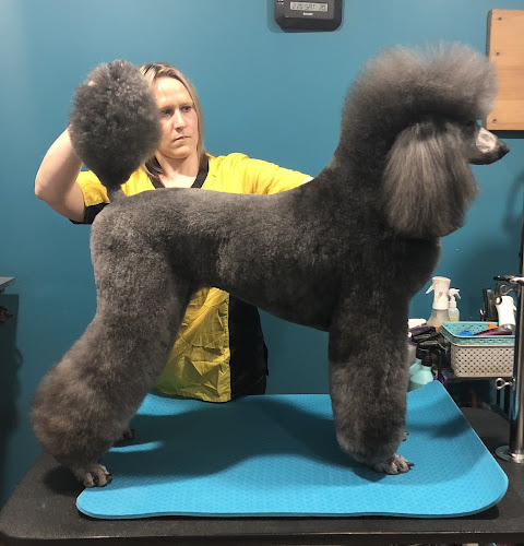 Pampered Paws-N-Claws