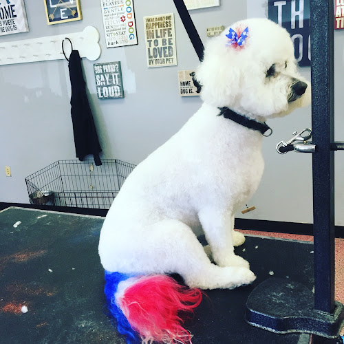 Pampered Paws Pet Salon