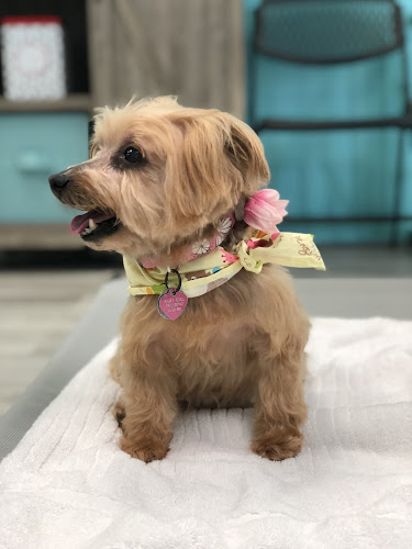 Pampered Paws Pet Spa LLC