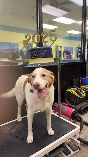 Pampered Paws West Grooming