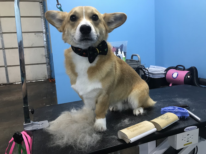 Pampered Pets Petcare Company