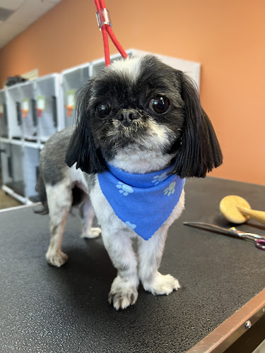 Pampered Pooch Spa & Bowtique