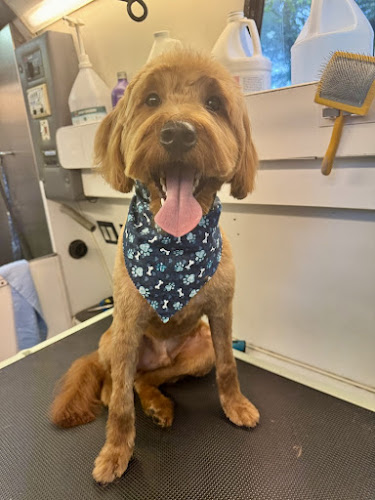 Pampered Pooches LLC