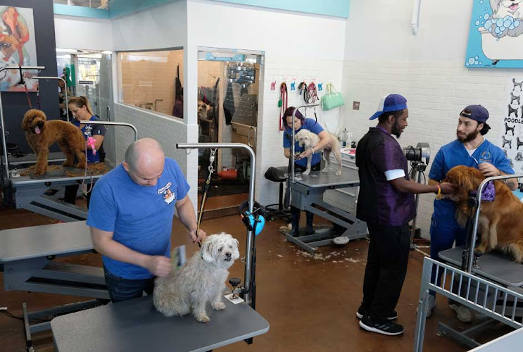 Pampered Tails West LA Mobile